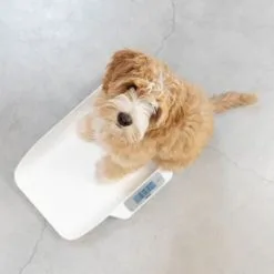 Alecto Pèse Bébé Digital Pour Bébés Et Jeunes Enfants -Bain et soin boutique pese bebe digital pour bebes et jeunes enfants 4